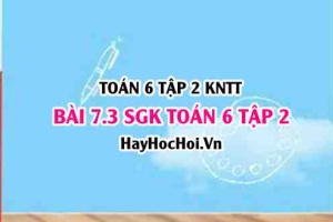 Bài 7.3 SGK Toán 6 tập 2 Kết nối tri thức